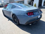 2026 Ford Mustang EcoBoost NITE PONY PACKAGE