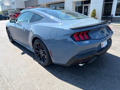 2026 Ford Mustang EcoBoost NITE PONY PACKAGE