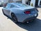 2026 Ford Mustang EcoBoost NITE PONY PACKAGE