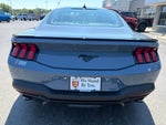 2026 Ford Mustang EcoBoost NITE PONY PACKAGE