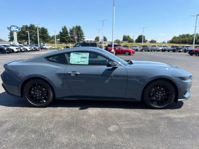 2026 Ford Mustang EcoBoost NITE PONY PACKAGE