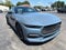 2026 Ford Mustang EcoBoost NITE PONY PACKAGE