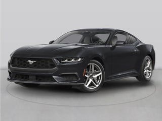 2026 Ford Mustang EcoBoost NITE PONY PACKAGE