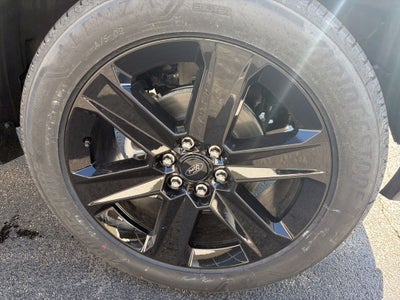 2026 Ford F-150 STX LOBO