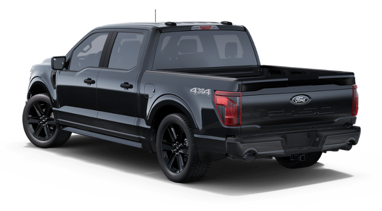 2025 Ford F-150 STX LOBO PACKAGE