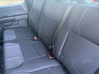 2026 Ford F-150 STX LOBO