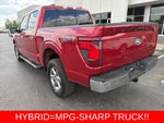 2024 Ford F-150 XLT Hybrid