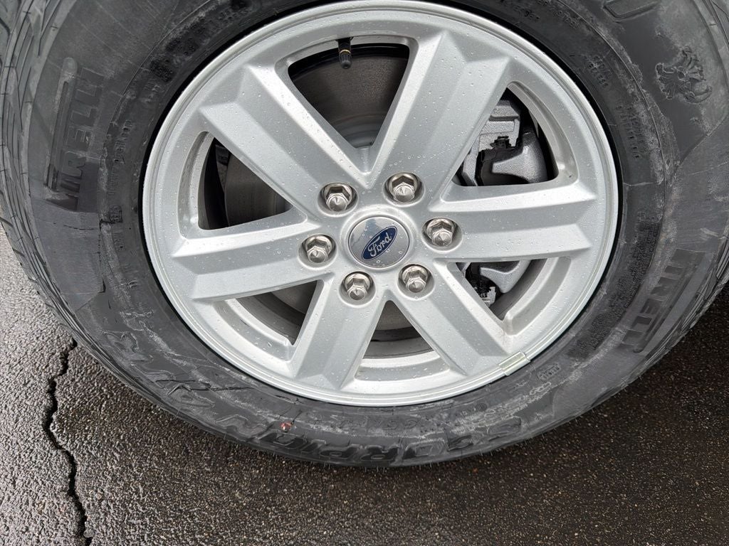 2026 Ford F-150 XL 5.0