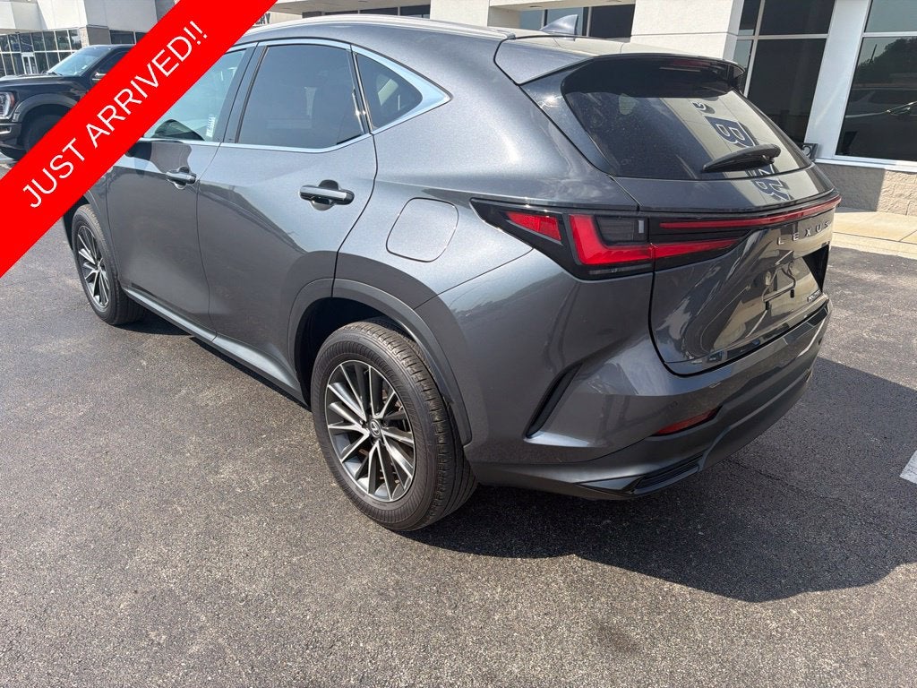2024 Lexus NX 250 Premium