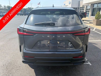 2024 Lexus NX 250 Premium