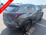 2024 Lexus NX 250 Premium