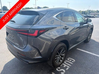 2024 Lexus NX 250 Premium