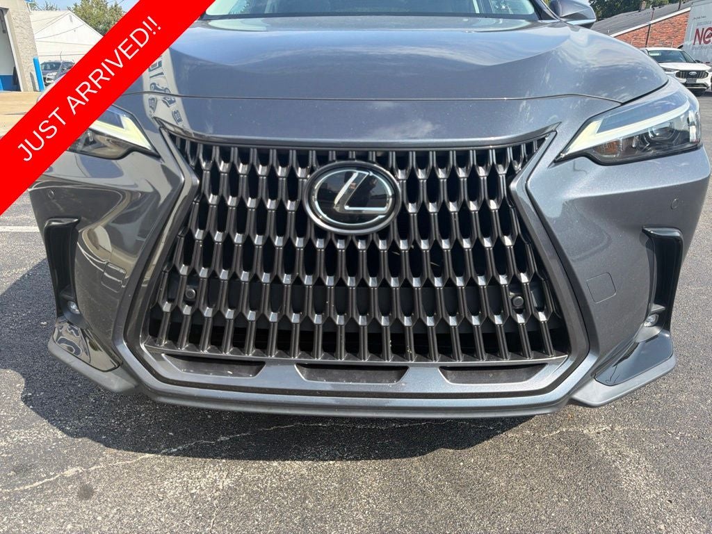 2024 Lexus NX 250 Premium